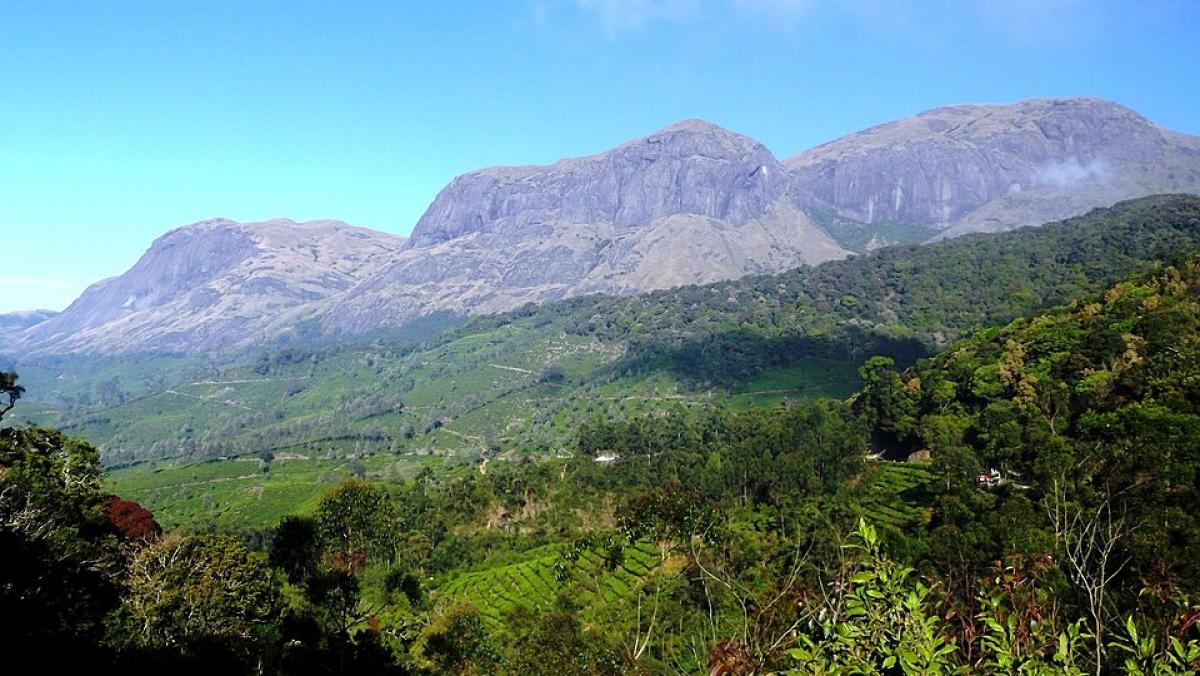 Anamudi Peak