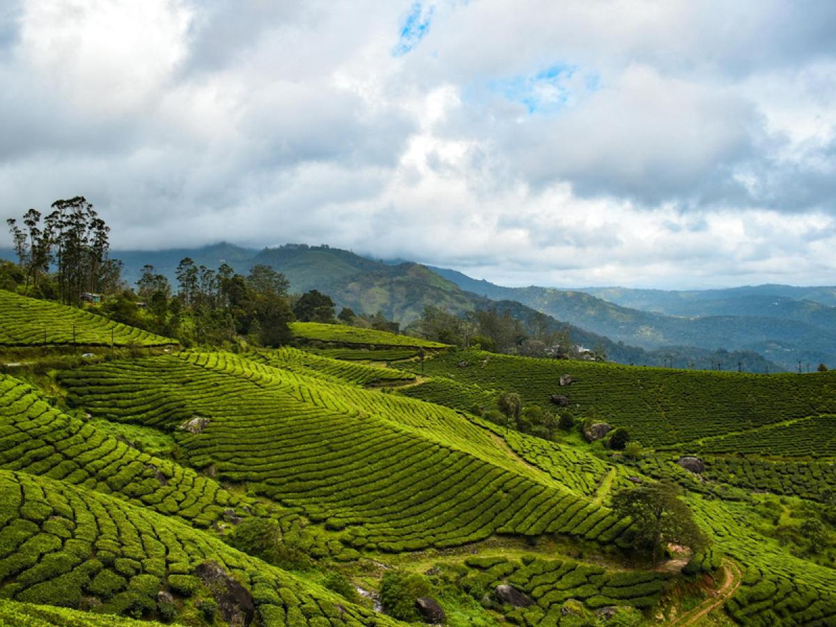 Kerala Tour Packages 2026: Complete Guide to Plan Your Perfect Trip