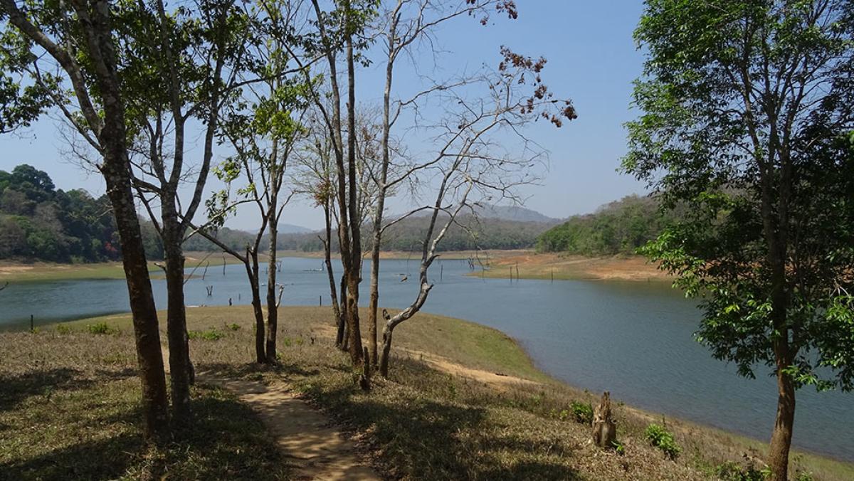 Periyar Tiger Trail